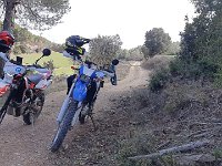 Imatge de WhatsApp 2024-02-24 a les 14.39.38 513aa5a5